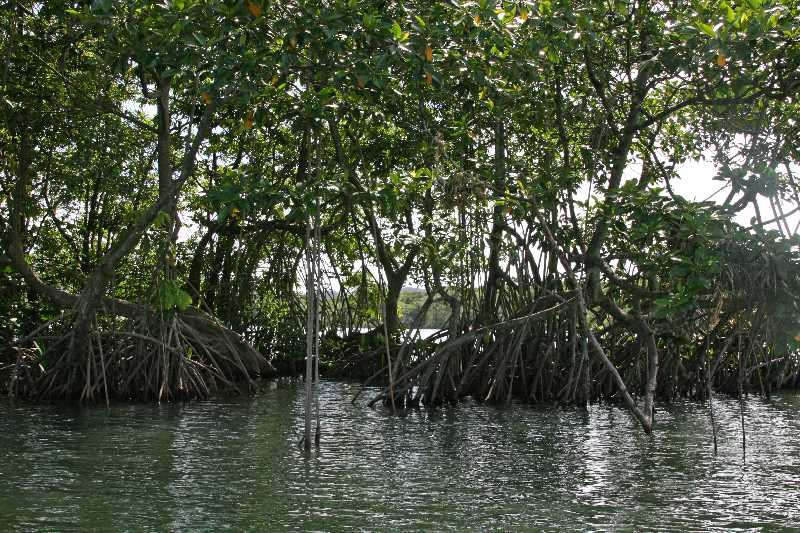 Mexico & Guatemala 2010 - 0950